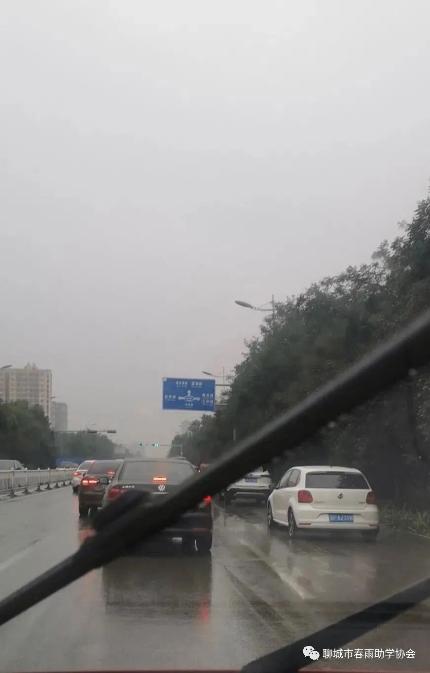 绵绵秋雨中 款款春雨情|临清春雨人在路上！